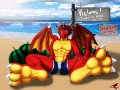 1281852101.darkgoose_[312]_cms233_summer_fruits.jpg